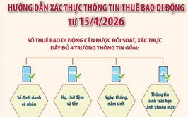 Hướng dẫn xác thực thông tin thuê bao di động từ 15/4
