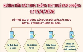 Hướng dẫn xác thực thông tin thuê bao di động từ 15/4