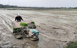 Chính sách hỗ trợ cơ giới hóa trong sản xuất nông nghiệp theo Nghị quyết số 53/2025/NQ-HĐND