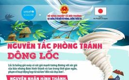 CHUYÊN MỤC: MỖI NGÀY MỘT KỸ NĂNG PHÒNG CHỐNG THIÊN TAI
DÔNG LỐC VÀ NHỮNG VIỆC CẦN LÀM ĐỂ ĐẢM AN TOÀN?