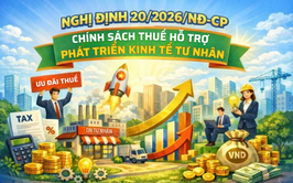 Nghị định 20/2026/NĐ-CP - Chính sách thuế hỗ trợ phát triển kinh tế tư nhân