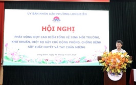 Phường Long Biên phát động cao điểm tổng vệ sinh môi trường phòng, chống bệnh sốt xuất huyết và tay chân miệng