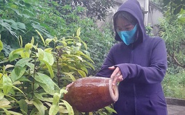 Xã Trần Phú ra quân tổng vệ sinh môi trường, diệt bọ gậy phòng chống dịch sốt xuất huyết 