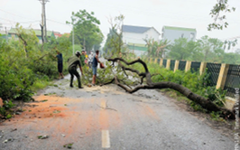 CÔNG AN XÃ KỊP THỜI XỬ LÝ CÂY ĐỔ SAU BÃO, ĐẢM BẢO AN TOÀN GIAO THÔNG