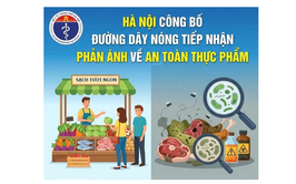 Hà Nội công bố đường dây nóng tiếp nhận phản ánh về an toàn thực phẩm