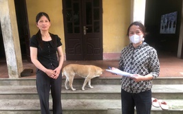 Xã Ô Diên triển khai tiêm vắc xin phòng bệnh dại cho đàn chó, mèo đợt 1 tập trung tại các nhà văn hoá thôn cụm dân cư, tổ dân phố năm 2026