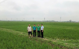 THẨM ĐỊNH THỰC TẾ PHƯƠNG ÁN VAY VỐN QUỸ HỖ TRỢ NÔNG DÂN