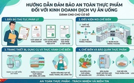 Các tiêu chí đảm bảo an toàn thực phẩm đối với kinh doanh dịch vụ ăn uống