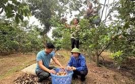 HÒA XÁ: TỪ NHỮNG 