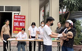 Long Biên tăng tốc tiêm phòng dại trên đàn chó mèo