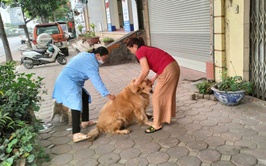 Xã Gia Lâm triển khai đồng bộ công tác tiêm phòng vắc xin cho đàn chó mèo, gia súc, gia cầm đợt 1 năm 2026