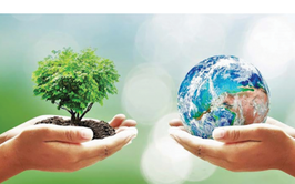 Phường Kiến Hưng quyết liệt hành động để xóa bỏ 