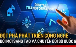 Triển khai thực hiện Quyết định số 2244/QĐ-TTg ngày 13/10/2025 của Thủ tướng Chính phủ ban hành Bộ tiêu chí đánh giá hiệu quả của khoa học, công nghệ, đổi mới sáng tạo và chuyển đổi số