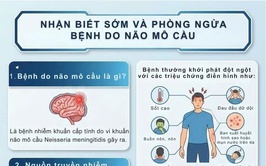 Nhận biết sớm và phòng ngừa bệnh do não mô cầu