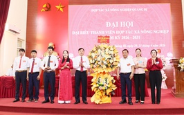 Đại hội Hợp tác xã Nông nghiệp Quảng Bị nhiệm kỳ 2026–2031 thành công tốt đẹp