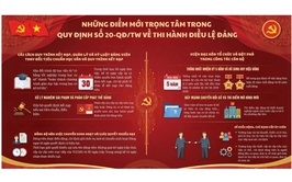Một số quy định về thi hành Điều lệ Đảng