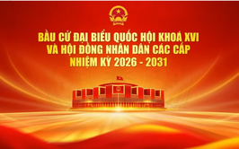 UB MTTQ VIỆT NAM XÃ NỘI BÀI TỔNG KẾT CÔNG TÁC BẦU CỬ ĐẠI BIỂU QUỐC HỘI KHÓA XVI VÀ HĐND CÁC CẤP NHIỆM KỲ 2026 - 2031