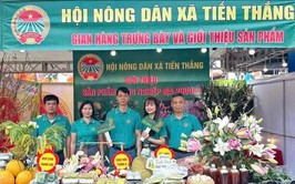 Nông dân xã Tiến Thắng đẩy mạnh sản xuất nông nghiệp an toàn, bền vững