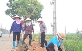 Phụ nữ xã Tiến Thắng nhân rộng mô hình 