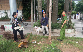 Cảnh báo tình trạng đánh bả chó, mèo: Nâng cao ý thức bảo vệ vật nuôi và an toàn cộng đồng