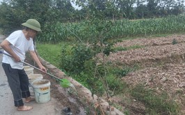 Cựu chiến binh Ngô Xuân Hợp: Sáng mãi phẩm chất 