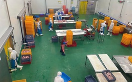 Xã Thường Tín: đẩy mạnh truy xuất nguồn gốc thực phẩm học đường trong 