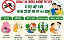 Hà Nội thực hiện tốt công tác phòng chống sốt rét, duy trì bền vững kết quả loại trừ bệnh