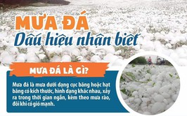 Suối Hai chủ động phòng chống thiên tai trước mùa mưa bão