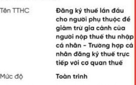 Hướng dẫn đăng ký mới, thay đổi thông tin người phụ thuộc trên Etax Mobile
