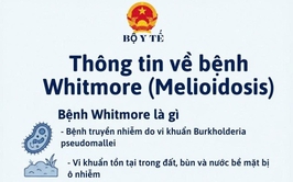 CẢNH GIÁC VỚI BỆNH WHITMORE (MELIOIDOSIS)