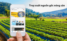 Ý nghĩa, vài trò của truy xuất nguồn gốc cho nông sản Việt trong thời kỳ hội nhập