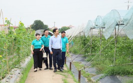 HỘI NÔNG DÂN XÃ CỔ ĐÔ TỔ CHỨC THAM QUAN MÔ HÌNH NÔNG NGHIỆP CÔNG NGHỆ CAO TẠI HUYỆN ĐAN PHƯỢNG