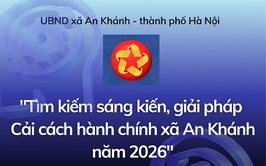 Cuộc thi 