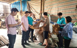 Nhiều gia đình ở xã Thường Tín:Phát triển kinh tế từ nguồn vốn chính sách