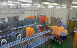 Thanh Oai kiểm tra, truy xuất nguồn gốc thực phẩm phục vụ bữa ăn bán trú của học sinh