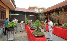 Câu lạc bộ Sinh vật cảnh Trung Hòa, xã Phú Nghĩa tổ chức trưng bày sinh vật cảnh chào mừng Lễ hội truyền thống làng Trung Cao năm 2026