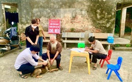 Xã Vân Đình:  Triển khai tiêm phòng vắc xin dại đợt 1 năm 2026