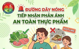 CHỦ ĐỘNG PHẢN ÁNH VI PHẠM AN TOÀN THỰC PHẨM QUA ĐƯỜNG DÂY NÓNG