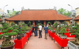 Khai mạc trưng bày giao lưu cây cảnh bon sai nghệ thuật xuân Bính Ngọ 2026