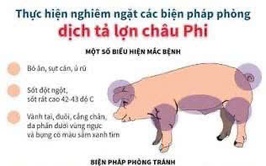 Phường Thanh Liệt siết chặt công tác phòng, chống dịch tả lợn châu Phi