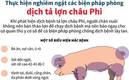 Đảm bảo an toàn thực phẩm trước tình hình dịch Dịch tả lợn châu Phi diễn biến phức tạp trên địa bàn

