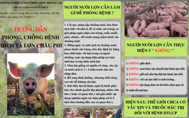 Dịch tả lợn châu phi không lây sang người