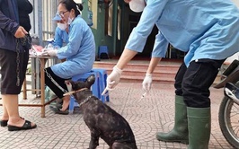 Về việc tăng cường tuyên truyền và thực hiện các biện pháp phòng, chống bệnh dại