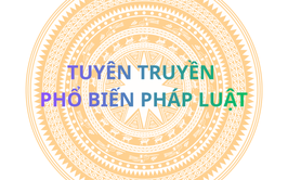 Chỉ thị số 54-CT/TW ngày 30/11/2025 của Bộ Chính trị