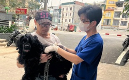 PHƯƠNG LIỆT: VƯỢT CHỈ TIÊU TIÊM PHÒNG VẮC XIN DẠI CHO ĐÀN CHÓ, MÈO TRONG 02 NGÀY CAO ĐIỂM