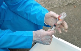 XÃ THẠCH THẤT TRIỂN KHAI TIÊM VẮC XIN PHÒNG BỆNH DẠI CHO ĐÀN CHÓ, MÈO ĐỢT 1 NĂM 2026