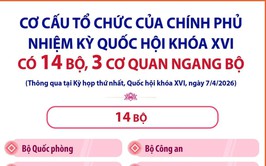 CƠ CẤU TỔ CHỨC CỦA CHÍNH PHỦ NHIỆM KỲ QUỐC HỘI KHÓA XVI