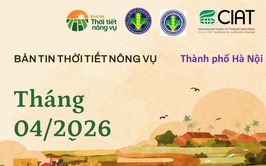 Bản tin thời tiết nông vụ tháng 4/2026