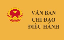 UBND Phường Tương Mai ban hành Kế hoạch Tuyên truyền, truyền thông dự thảo Luật Thủ đô (sửa đổi); tuyên truyền, phổ biến Luật Thủ đô (sửa đổi) sau khi được Quốc hội thông qua và các văn bản hướng dẫn thi hành