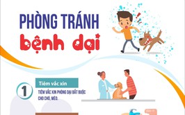 Tuyên truyền về phòng chống bệnh dại